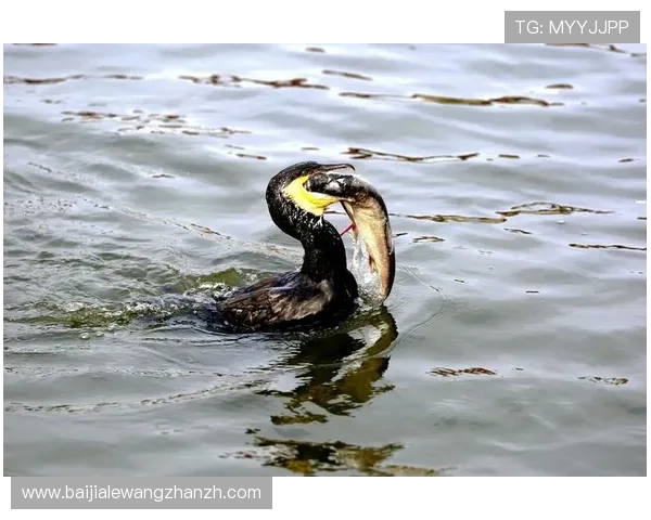 博人真人版拍摄现场花絮展示演员表演的精彩瞬间